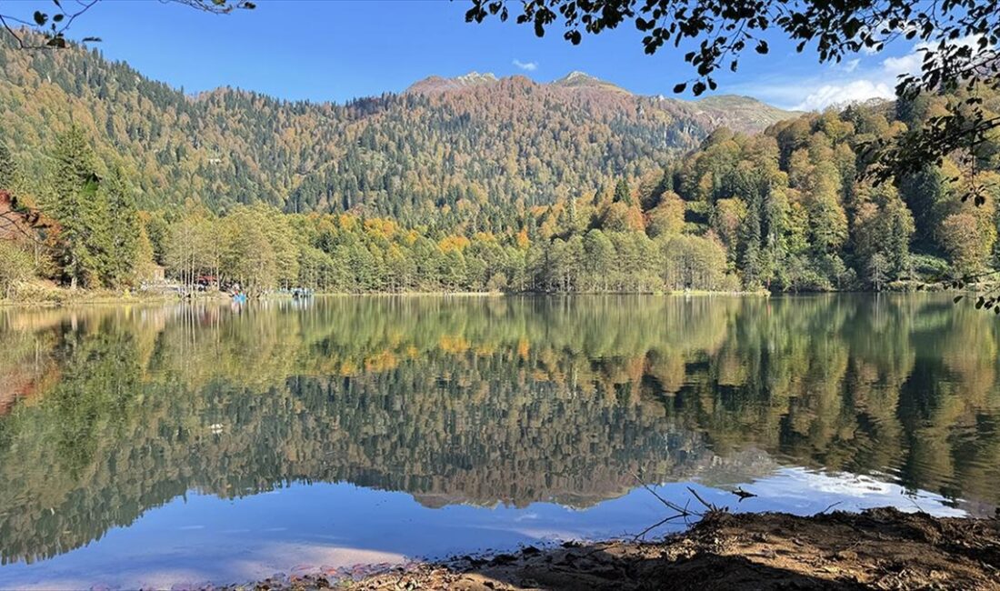 Artvin'de yerli ve yabancı turistlerin en çok ziyaret ettiği yerler