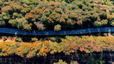 Sakarya'nın Kocaali ve Hendek ilçeleri arasında bulunan Çam Dağı, sonbaharın