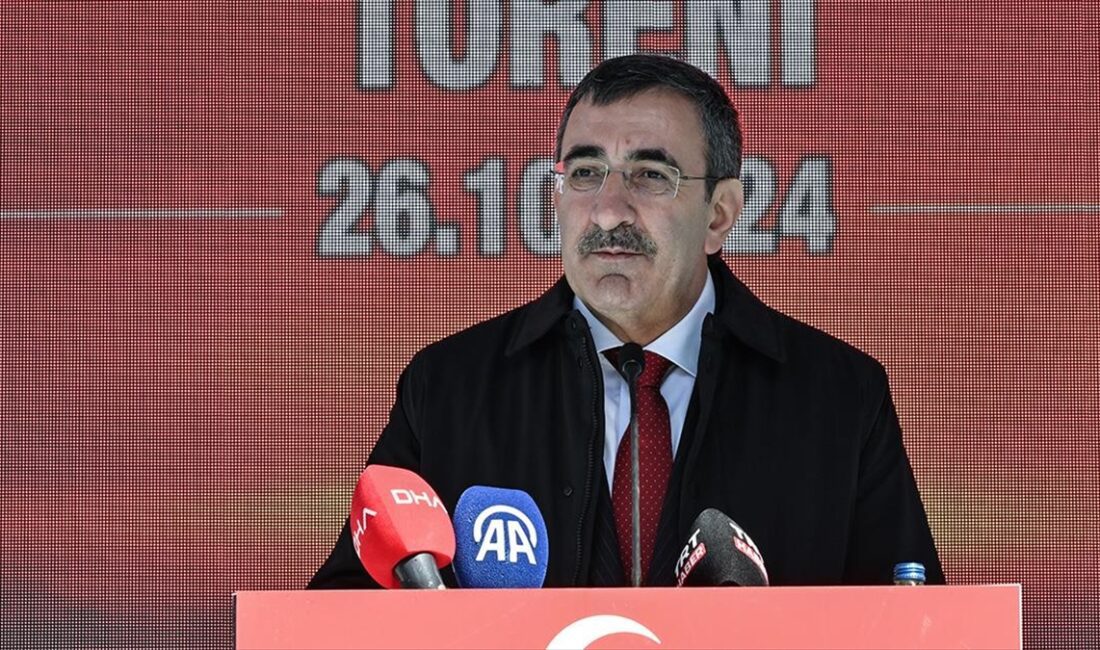 Cumhurbaşkanı Yardımcısı Yılmaz, "Türkiye Yüzyılı, enerjide dışa bağımlılığı bitirdiğimiz, enerjide