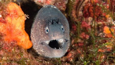 - Belgesel yapımcısı ve görüntü yönetmeni Tahsin Ceylan ve beraberindekiler,