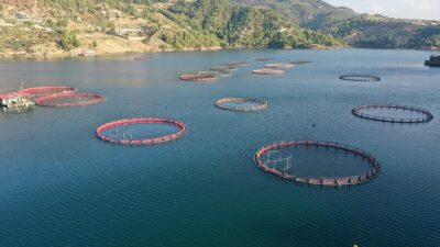 KAHRAMANMARAŞ (AA) – Su &Uuml;r&uuml;nleri İşleme Tesisi kapasitesi bakımından T&uuml;rkiye’nin