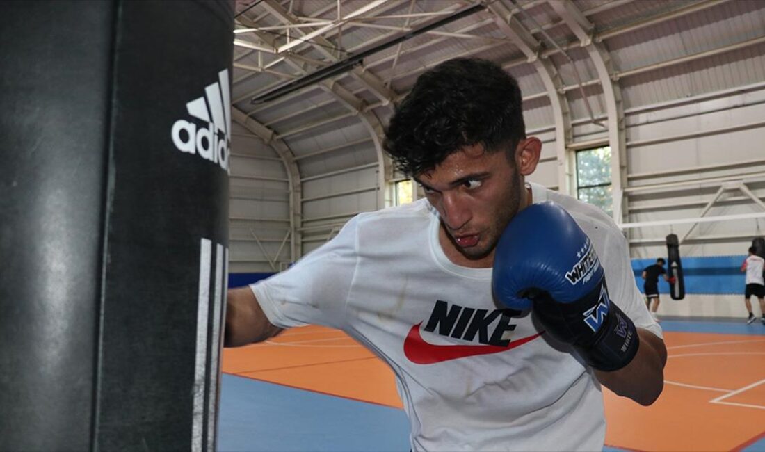Boksa doğum gününde babasının spor salonuna götürmesiyle başlayan, kariyerinde 7