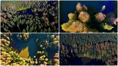 Düzce'de volkanik çöküntüyle oluşmuş Torkul Göleti'ne gelen olta balıkçıları, fotoğrafseverler