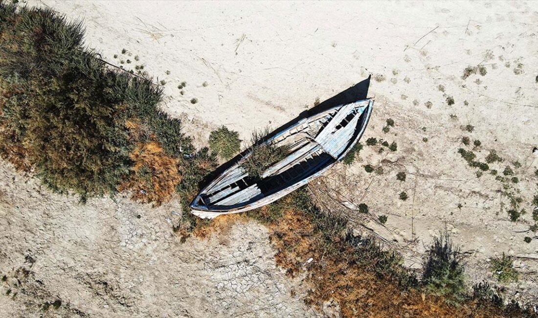 Muğla ve çevresinde bu yıl yağışların yetersiz olması nedeniyle Bafa