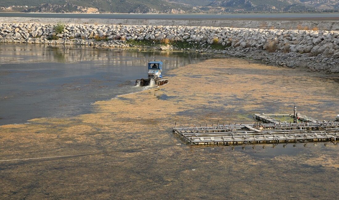 Eylem planı kapsamında, ilk olarak özel tasarlanan tekne ve amfibi