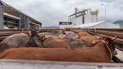 ERZURUM (AA) – Vali Mustafa &Ccedil;ift&ccedil;i, ge&ccedil;en yıl 19 Eyl&uuml;l’de