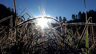 Türkiye'de geçen ay en düşük sıcaklık sıfırın altında 1,2 dereceyle