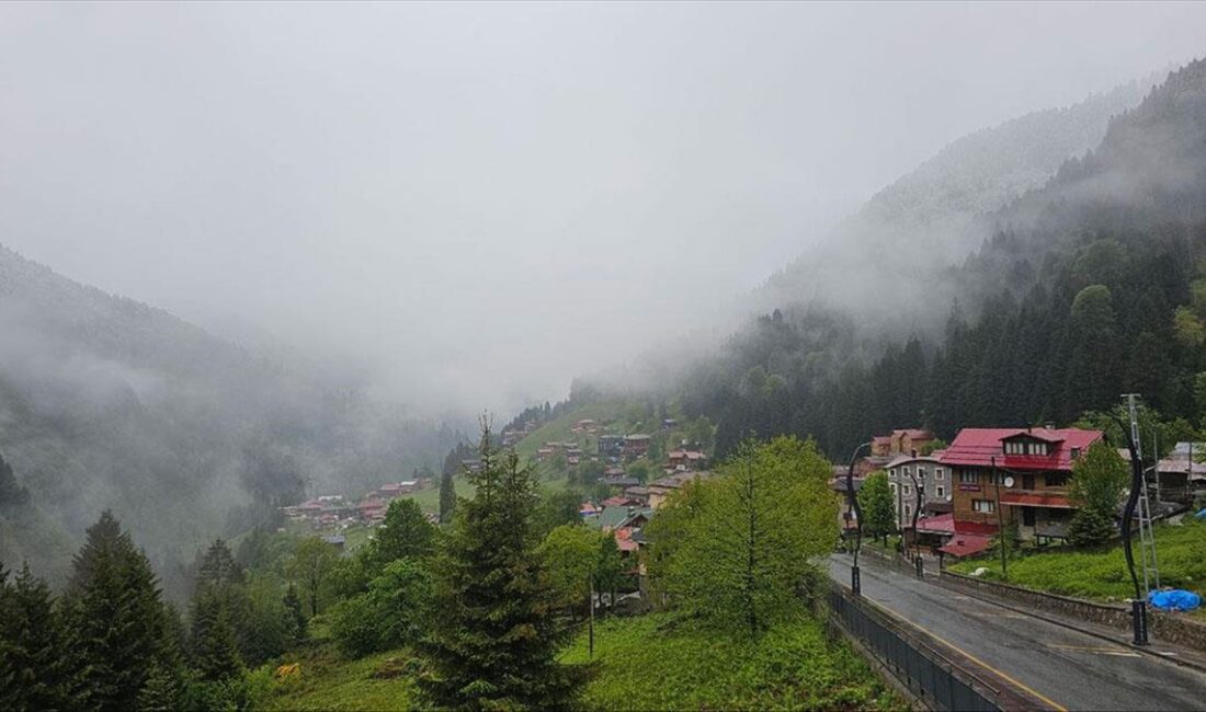 Geçen ay en fazla yağış metrekareye 141,6 kilogramla Rize'de, en