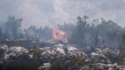 GAZİANTEP (AA) – Gaziantep’te ormanlık alanda çıkan yangın kontrol altına