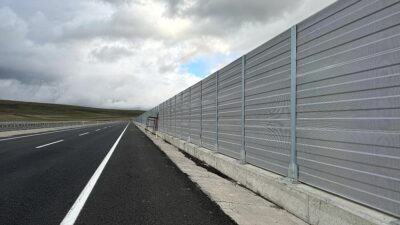 Türkiye ile Gürcistan arasında yer alan Aktaş Gölü'ndeki kuşların trafiğin