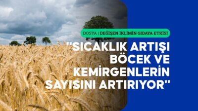 Uzmanlar, 2050 yılında küresel gıda ihtiyacının 2000'li yılların başına göre
