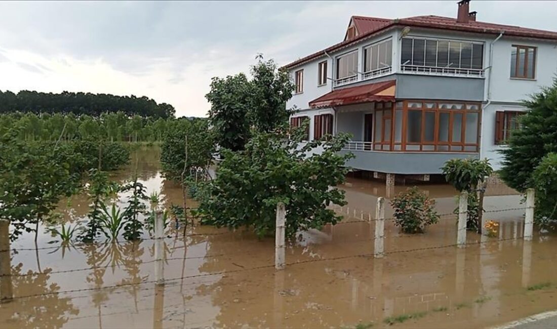 Orman Genel Müdürlüğü (OGM), Türkiye'de sel sonucu yaşanan can ve