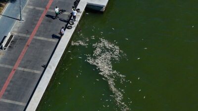 Çevre, Şehircilik ve İklim Değişikliği Bakanı Murat Kurum'un talimatıyla oluşturulan