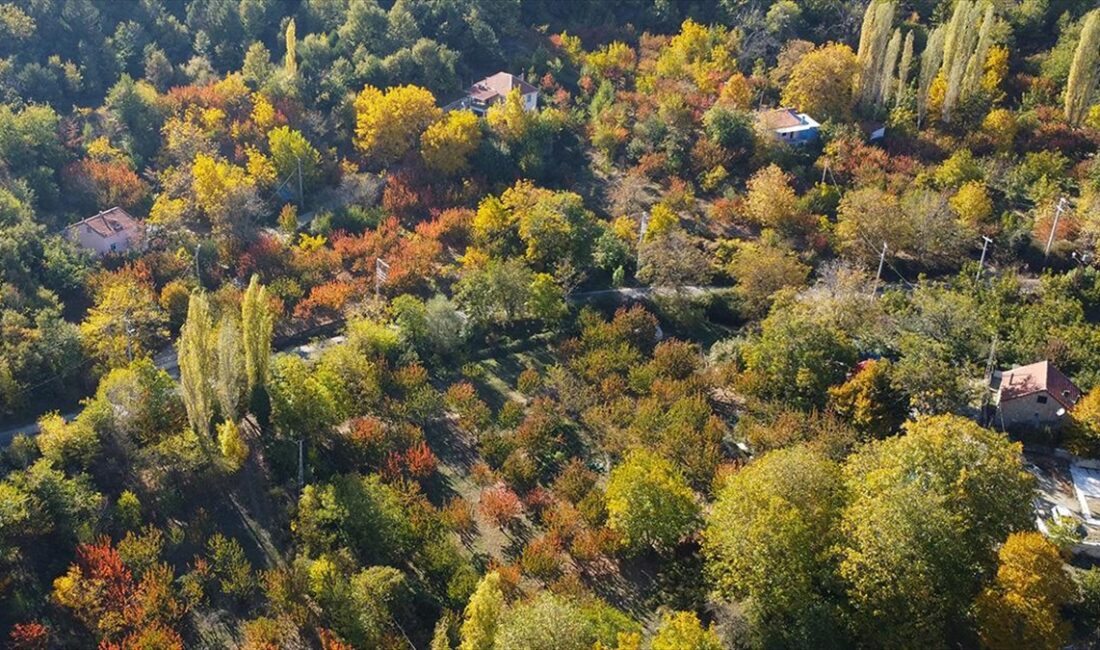 İZMİR (AA) – Ege’de denize dik uzanan dağ sıralarından Bozdağlar’ın