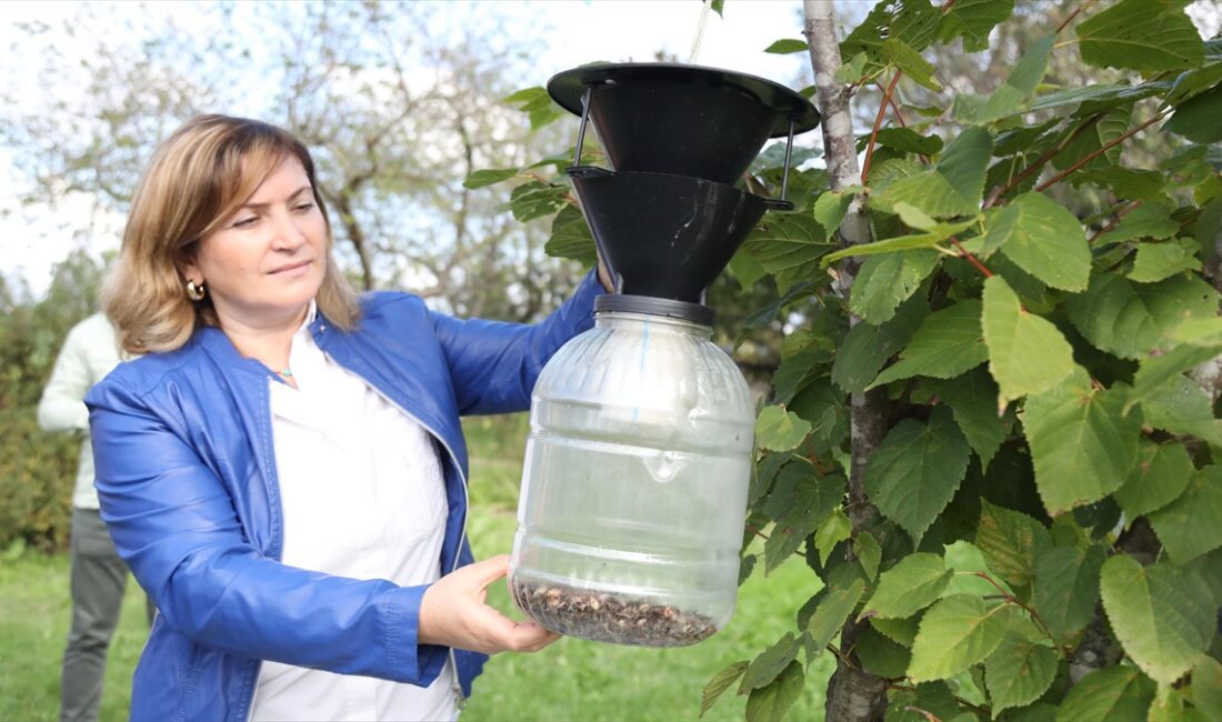 Karadeniz Bölgesi'nde başta fındık olmak üzere 300'e yakın tarım ürünü
