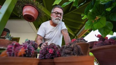 İzmir'de yaşayan Bahadır Özkalkanlı, evinin bahçesi ve balkonunda 300 civarında