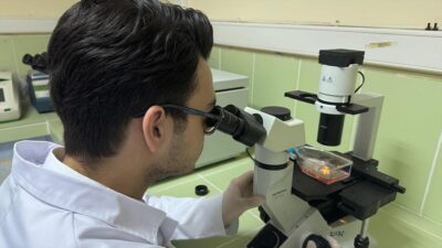 Kandan meme kanseri kök hücrelerinin tespit edilmesi hedefleniyor Giresun, Pamukkale, Boğaziçi ve Özyeğin üniversitelerinden bir grup bilim insanı