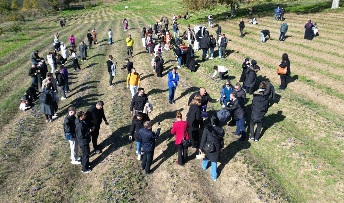 KARABÜK (AA) – Yukarıçiftlik köyü Keten Mahallesi’nde İsmail Yılmaz’a ait