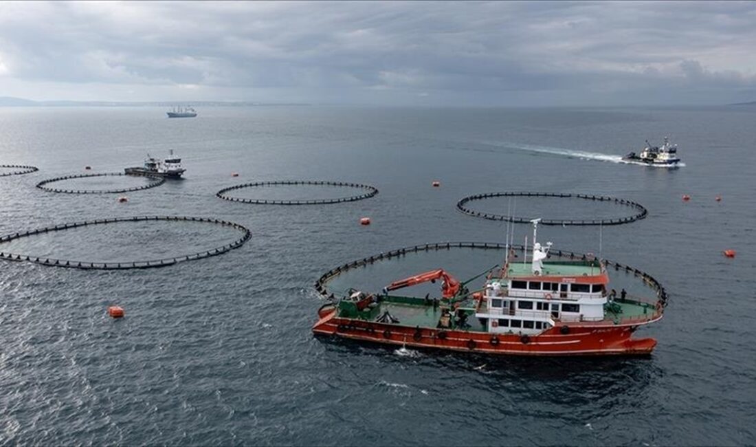 TRABZON (AA) – AA muhabirinin, Doğu Karadeniz İhracatçılar Birliği (DKİB)