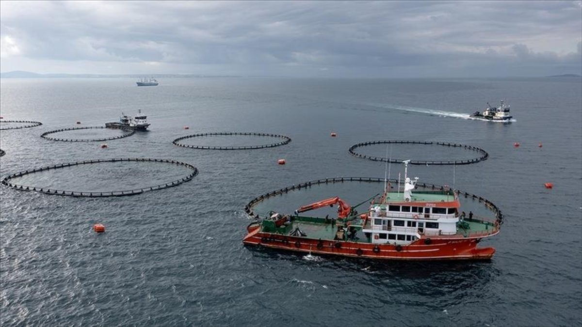 TRABZON (AA) – AA muhabirinin, Doğu Karadeniz İhracatçılar Birliği (DKİB)