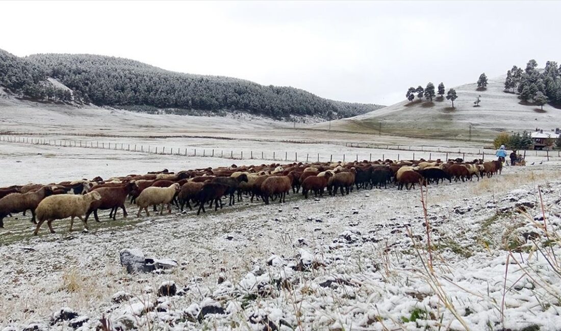 Kars'ta şehir merkezine mevsimin ilk karı ekim ayında düştü.