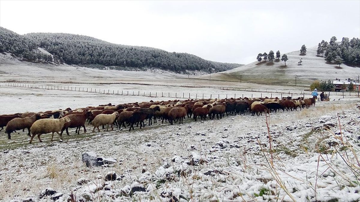 Kars'ta şehir merkezine mevsimin ilk karı ekim ayında düştü.