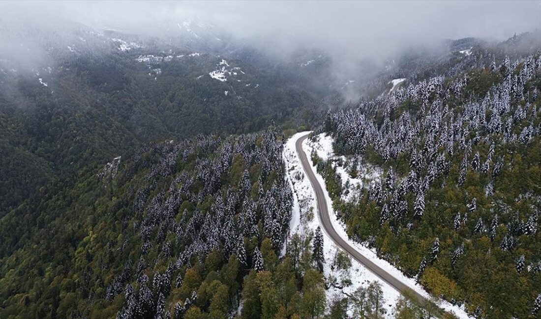 Kastamonu'da ağaçların sonbaharın renklerine bürünmeye başladığı dönemde etkili olan kar