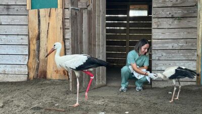 SAMSUN (AA) – Samsun’da 365 kuş t&uuml;r&uuml;ne ev sahipliği yapan