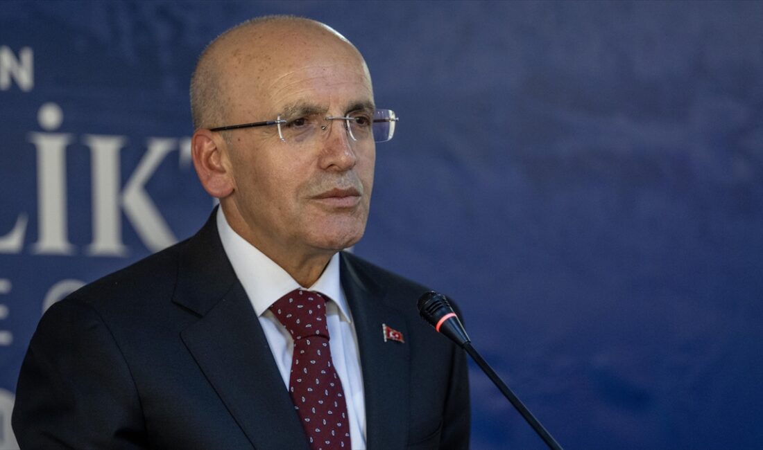 Hazine ve Maliye Bakanı Mehmet Şimşek, Eximbank ve kalkınma bankaları