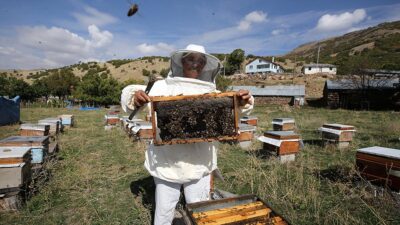 Muş'ta ailesinin geçimini sağlamak amacıyla 8 yıl önce aldığı 1