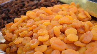 Türkiye'den 9 ayda 286 milyon 913 bin dolarlık Malatya kayısısı