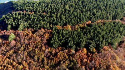 Kütahya'da kent merkezinin yüksek kesimlerinde bulunan Boyalı Dağı, sonbaharın renkleriyle