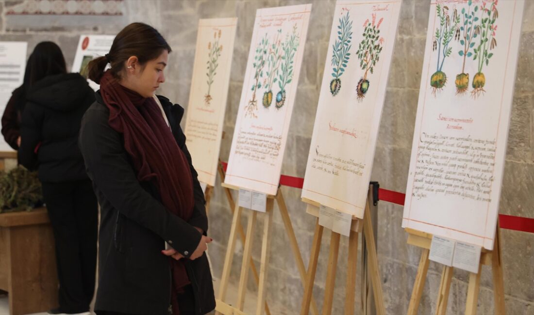 NEVŞEHIR (AA) – Meksika’nın Ankara Büyükelçiliği ile Nevşehir Belediyesi işbirliğinde