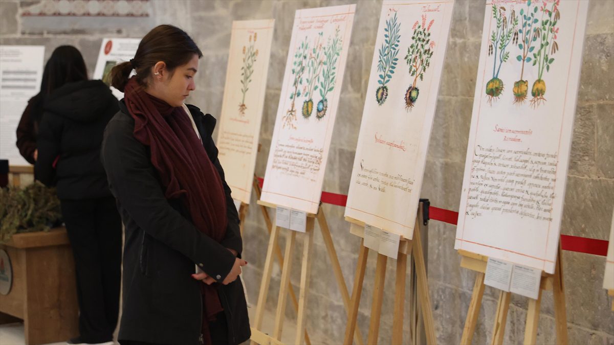 NEVŞEHIR (AA) – Meksika’nın Ankara Büyükelçiliği ile Nevşehir Belediyesi işbirliğinde