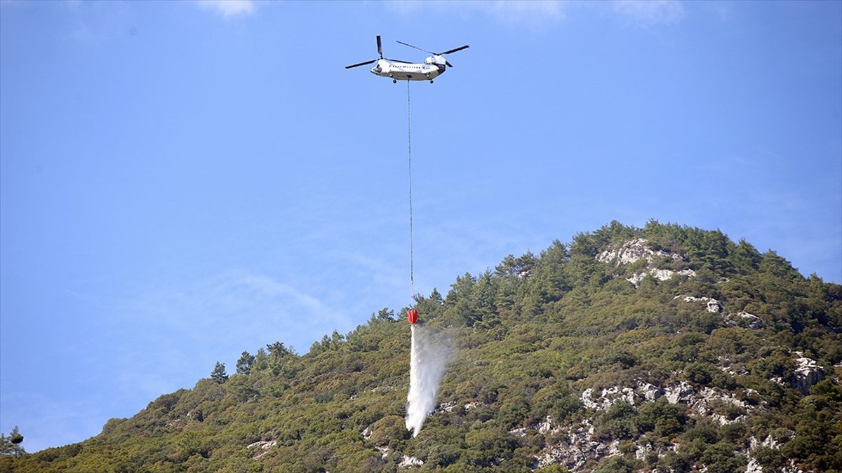 MUĞLA (AA) – Turnalı Mahallesi’nde ormanlık alanda 18 Ekim’de çıkan