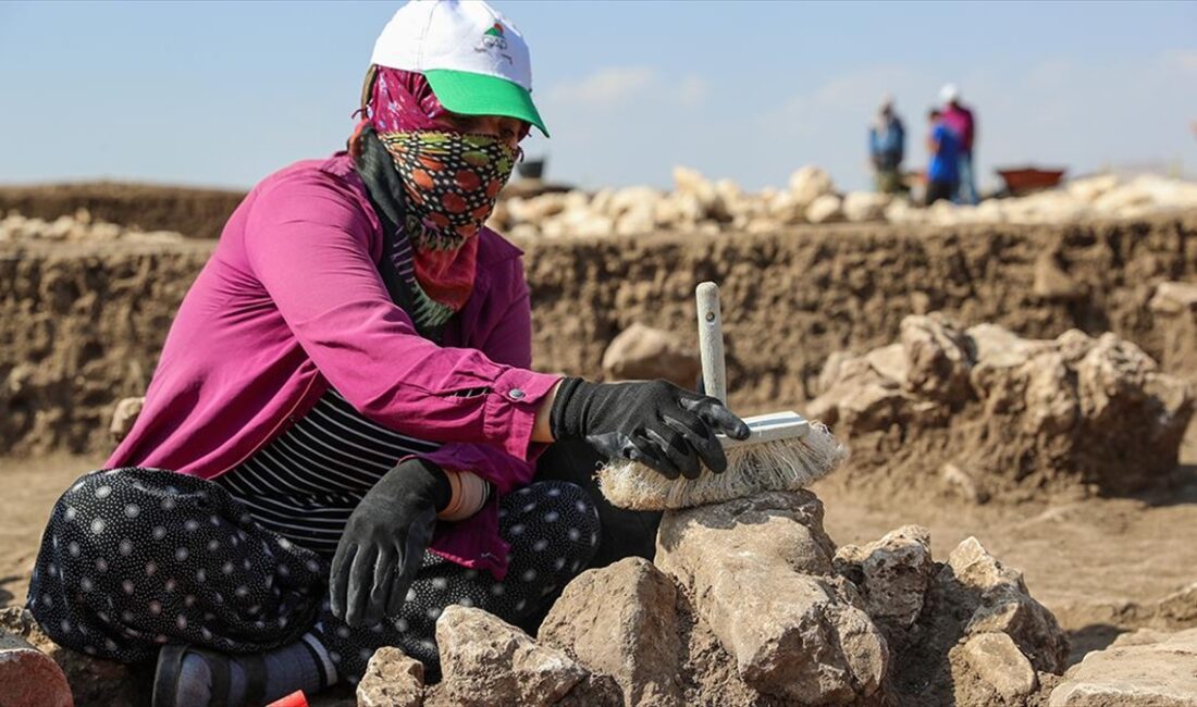 Diyarbakır'ın Ergani ilçesinde dünya uygarlık tarihine ışık tutan 12 bin