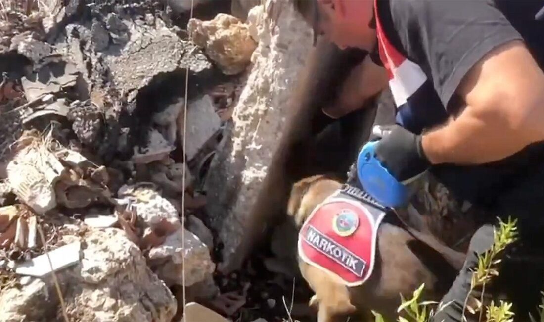 İçişleri Bakanı Ali Yerlikaya, "Narkoçelik-42" operasyonlarında 1 ton 971 kilogram