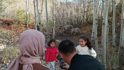 vrupalı Seçkin Destinasyonlar Projesi (EDEN) kapsamında "Mükemmeliyet Ödülü" alan 2