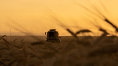 ANKARA (AA) – AA muhabirinin derlediği bilgiye g&ouml;re, bakanlık tarafından