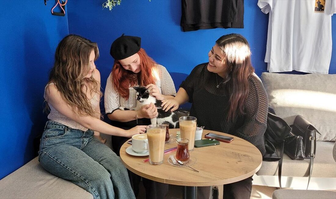 Samsun'un Atakum ilçesindeki "Patili Kafe"de müşteriler evcil hayvanlarıyla zaman geçirirken,