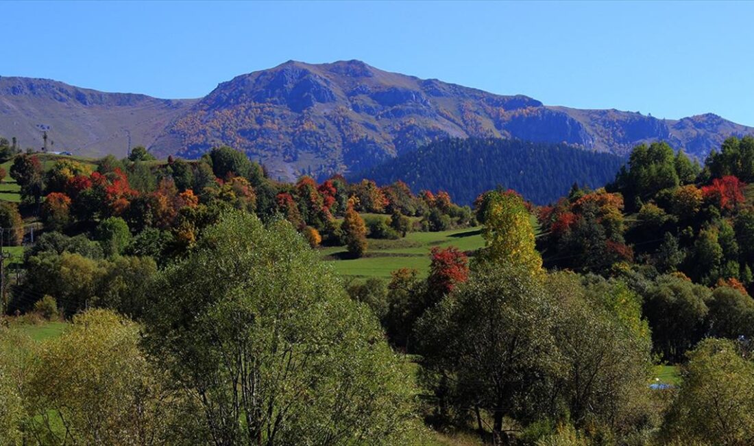 Türkiye'nin saklı cenneti olarak nitelendirilen Artvin'in "sakin şehir" ünvanlı Şavşat
