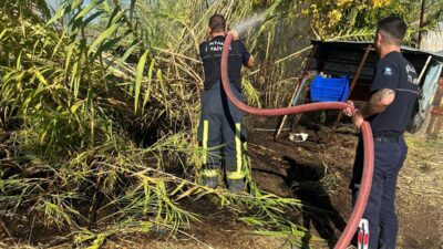 ANTALYA (AA) – Antalya'nın Serik ilçesinde sazlık alanda çıkan yangın
