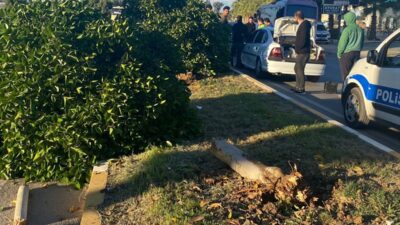 ANTALYA (AA) – Antalya'nın Serik ilçesinde otomobilin refüjdeki ağaçlara ve