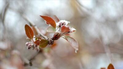 SINOP (AA) – Sinop Valiliğinden yapılan yazılı a&ccedil;ıklamada, Meteoroloji Genel