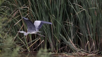UNESCO Geçici Miras Listesi'nde yer alan ve 10 gölden oluşan
