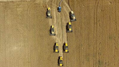 Tarım sektöründe faaliyet gösteren 10 sektörden 3 tanesi tüm zamanların