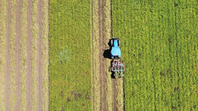 Türkiye'de 1 Ekim 2023-30 Eylül 2024 arası dönemi kapsayan su/tarım