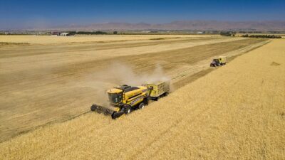 Tarım ve Kırsal Kalkınmayı Destekleme Kurumu (TKDK) Başkanı Ahmet Abdullah