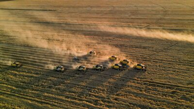 ANKARA (AA) – T&uuml;rkiye İstatistik Kurumu (T&Uuml;İK), ağustos ayına ilişkin