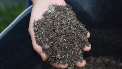 Niğde Ömer Halisdemir Üniversitesi Mühendislik Fakültesi Çevre Mühendisliği Bölümü Öğretim